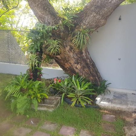 Always Summer Inn Isla Culebra Exterior foto